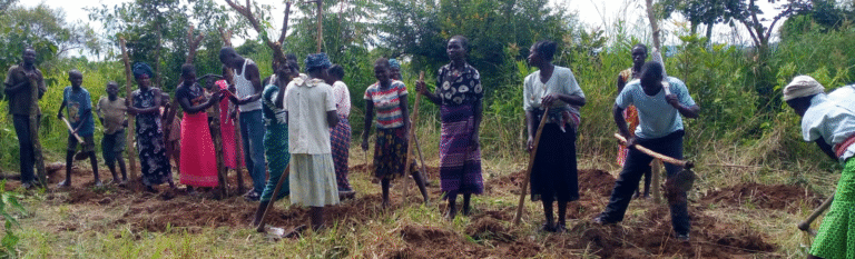 A group in Guru-Guru Subcounty Amuru District preparing site to build up piggery unit with support of Comboni Samaritans of Gulu