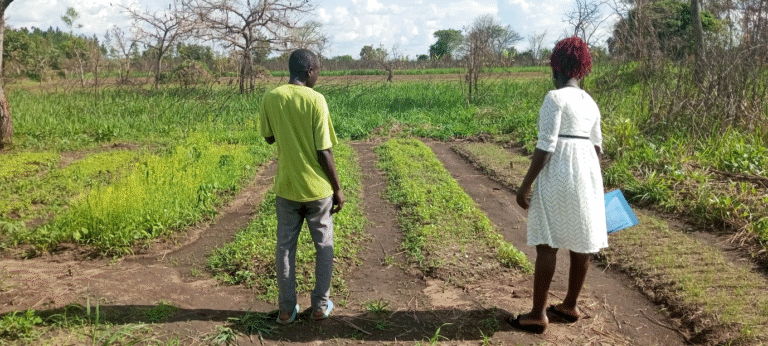 Monitoring the nursery bed of one of our youth who got training in Agriculture